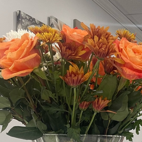 Meet your Posher, Channy - Picture 1 of 1